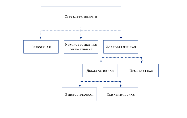 Сенсорная память. Виды памяти кратковременная и долговременная. Сенсорная кратковременная и долговременная память. Виды памяти долговременная кратковременная Оперативная. Краткосрочная память.